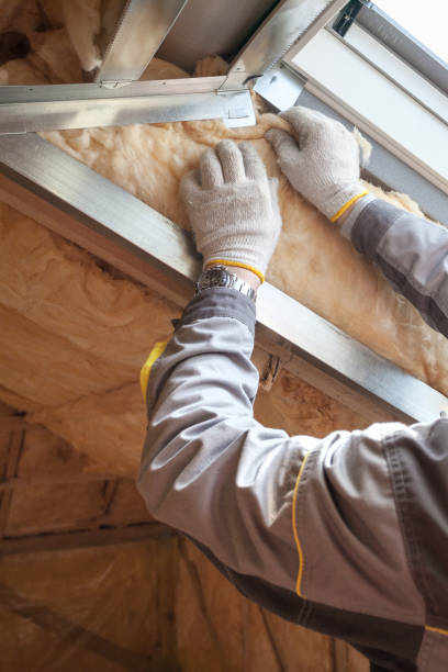 Best Insulation for Specific Applications in Kahului, HI