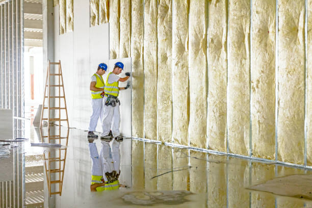 Best Insulation for Specific Applications in Kahului, HI
